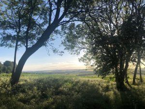 View if the Welland River Valley